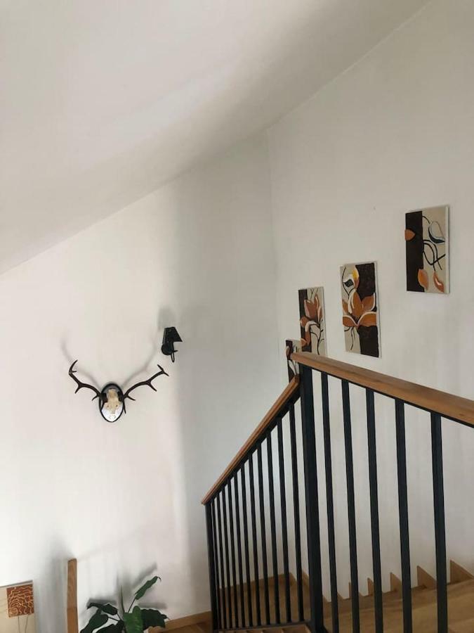 El Real de la Jara Vivienda Rural El Ejidoヴィラ エクステリア 写真