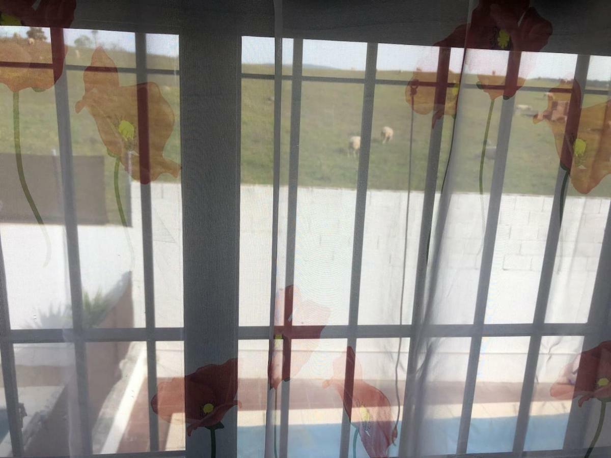 El Real de la Jara Vivienda Rural El Ejidoヴィラ エクステリア 写真